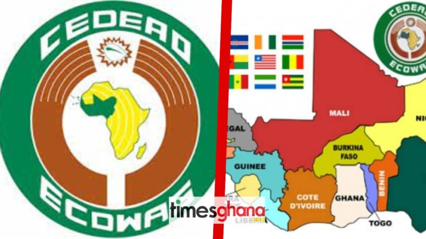 ECOWAS President's Vision for Niger